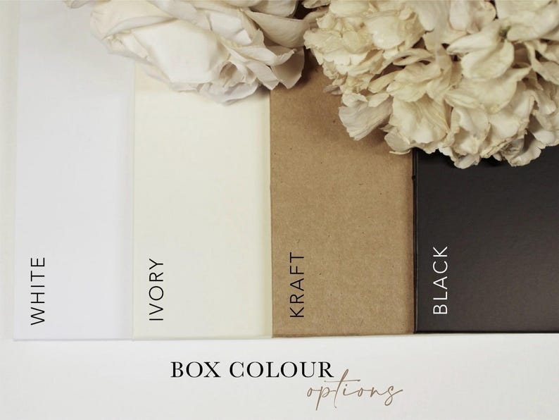 Op de afbeelding: Vier kleurstalen die verschillende dooskleuren laten zien: wit, ivoor, kraft en zwart. De tekst "BOX COLOUR options" staat onder de kleurstalen.