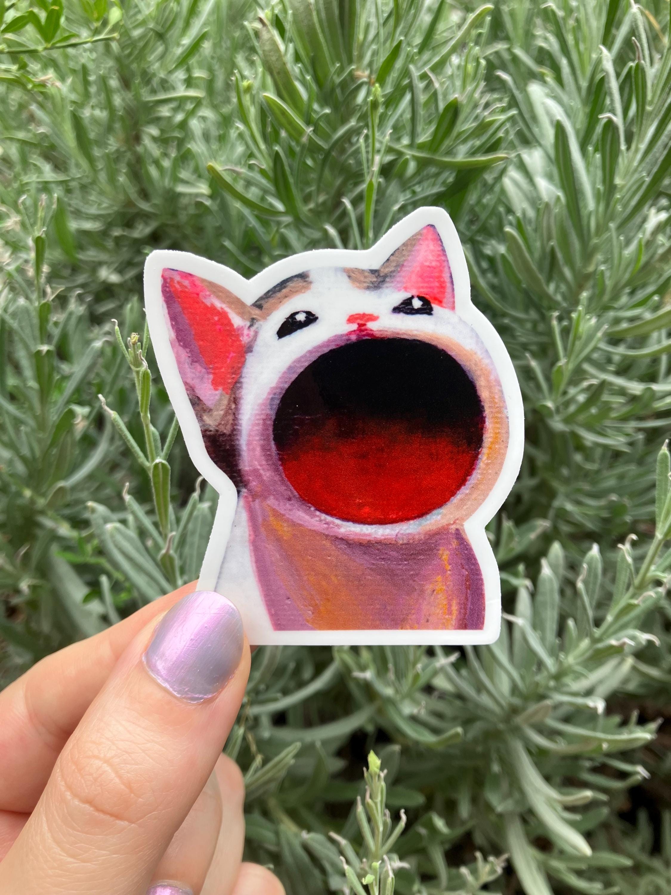 Bop Bop Cat Sticker - Etsy