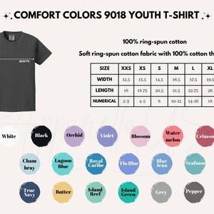 Comfort Colors® Chris Brown Breezy Bowl XX Tour-tröja, Chris Brown-tröja, Chris Brown-fanpresent, Chris Brown-merchandise-tröja, CB Tour 2025-tröja bild 8