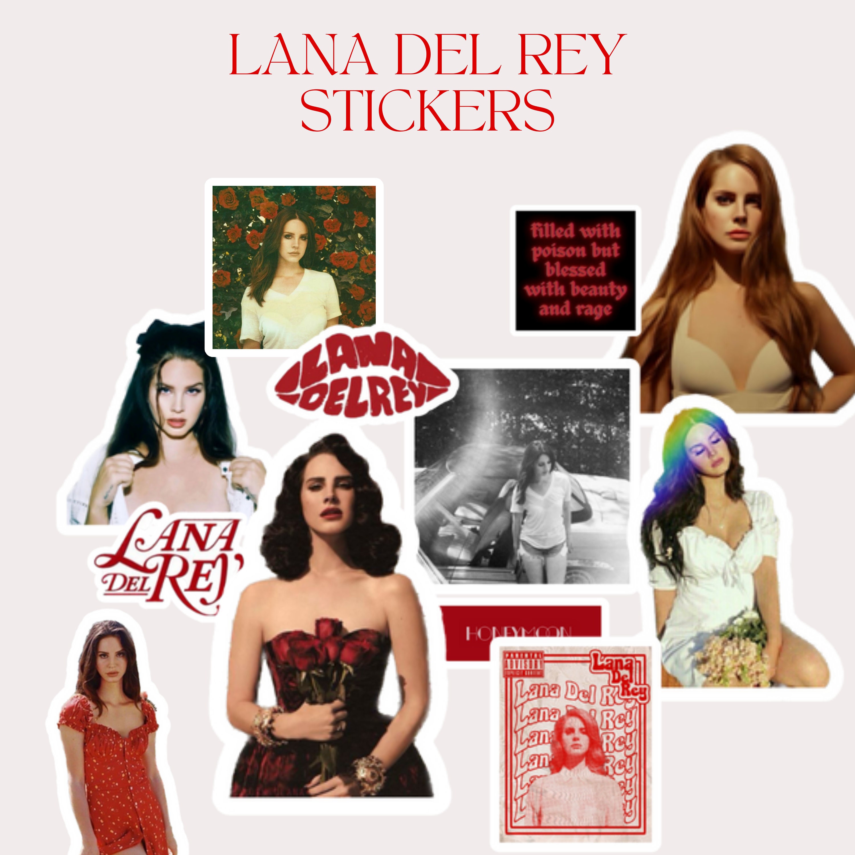 Lana Del Rey Sticker Pack for Fans Lana Del Rey Gifts for Friends Birthday  Gift for Friends for Lana Del Rey Fans Lana Stickers 