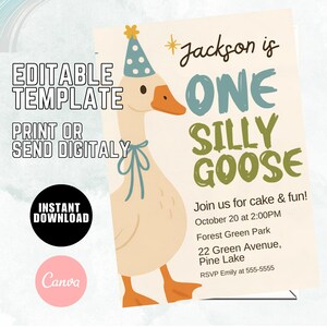 Editable One Silly Goose Birthday Invitation Template, Goose 1st Birthday, Goose Invitation, Boy 1st Birthday Green Invite A67