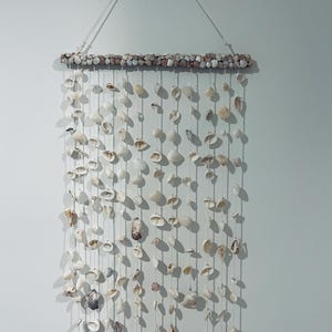 Large Assorted Seashell Art Installation, Florida Eco-Friendly Beach Decor
