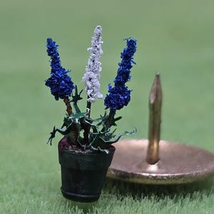 May include: A miniature potted plant featuring two deep blue flower spikes and one central white flower spike, set in a small black pot with green foliage, positioned next to a metallic gold-toned push pin for scale comparison.