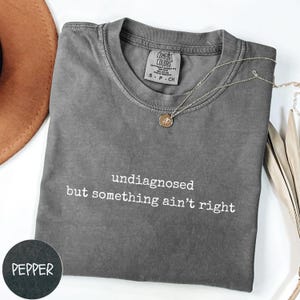 Comfort Colors® undiagnosed but something ain’t right Shirt, Adult Humor Tshirt, Sarcastic Shirt, Funny Sarcasm Sweatshirt, Gift For Her Tee