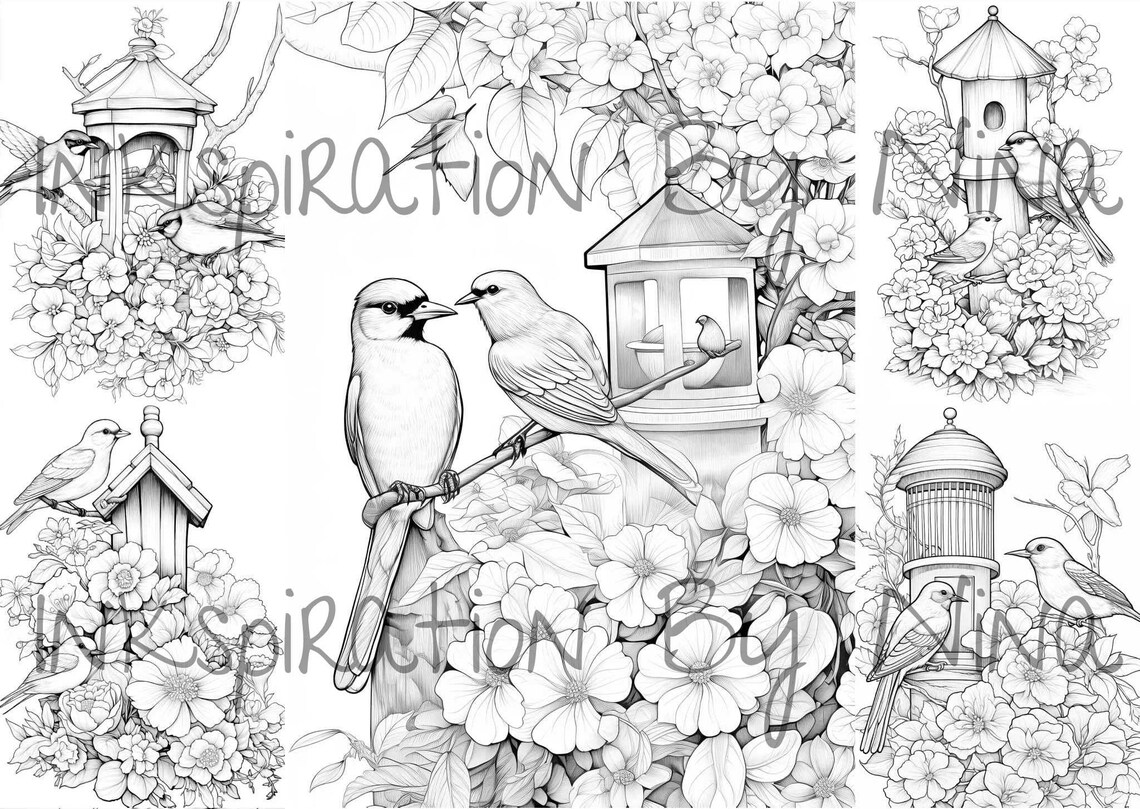 Bird Feeder Flowers Coloring Book, 20 Premium Birds Feeding Outside Coloring Sheets, Coloring ...