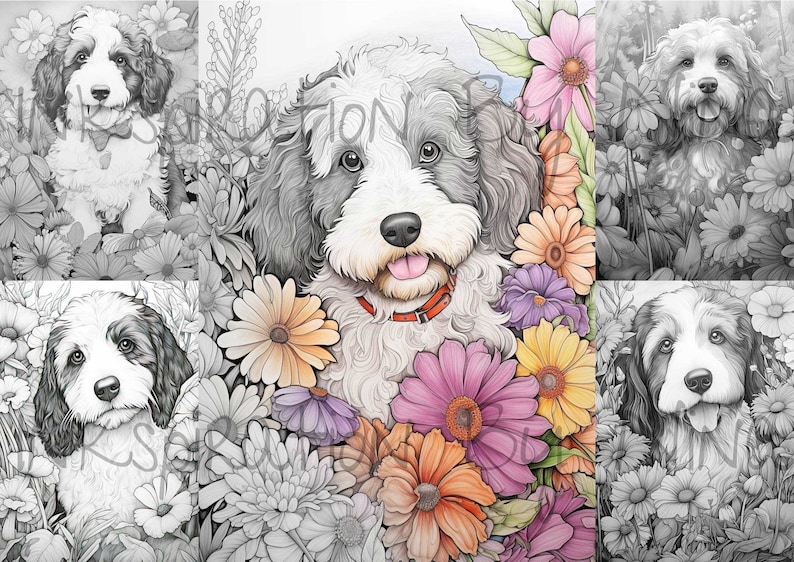 Bernedoodle in Flowers Coloring Pages, 20 Premium Coloring Sheets