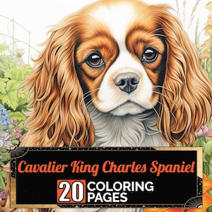 Cavalier King Charles Spaniel in Flowers Coloring Pages, 20 Premium Coloring Sheets, Coloring Book A4 Size, Printable Digital PDF Download