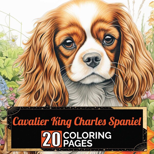Cavalier Coloring Book - Etsy