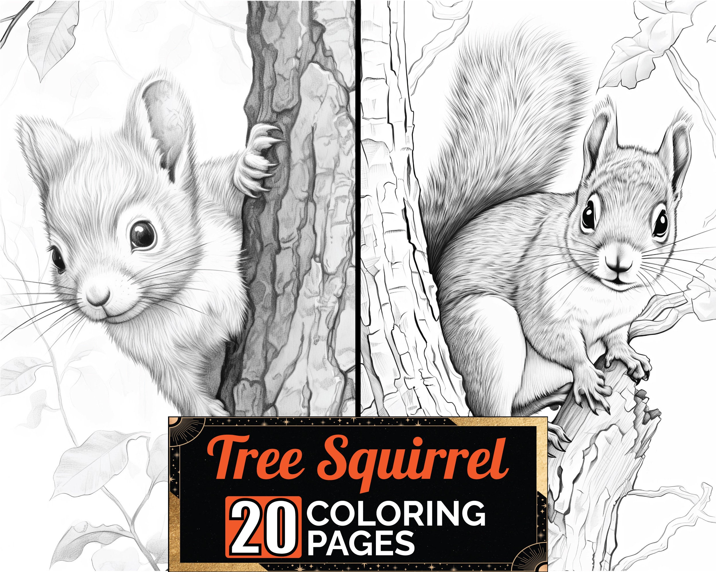 12 Pack Stress Relief Coloring Pages, Squirrel Digital Print