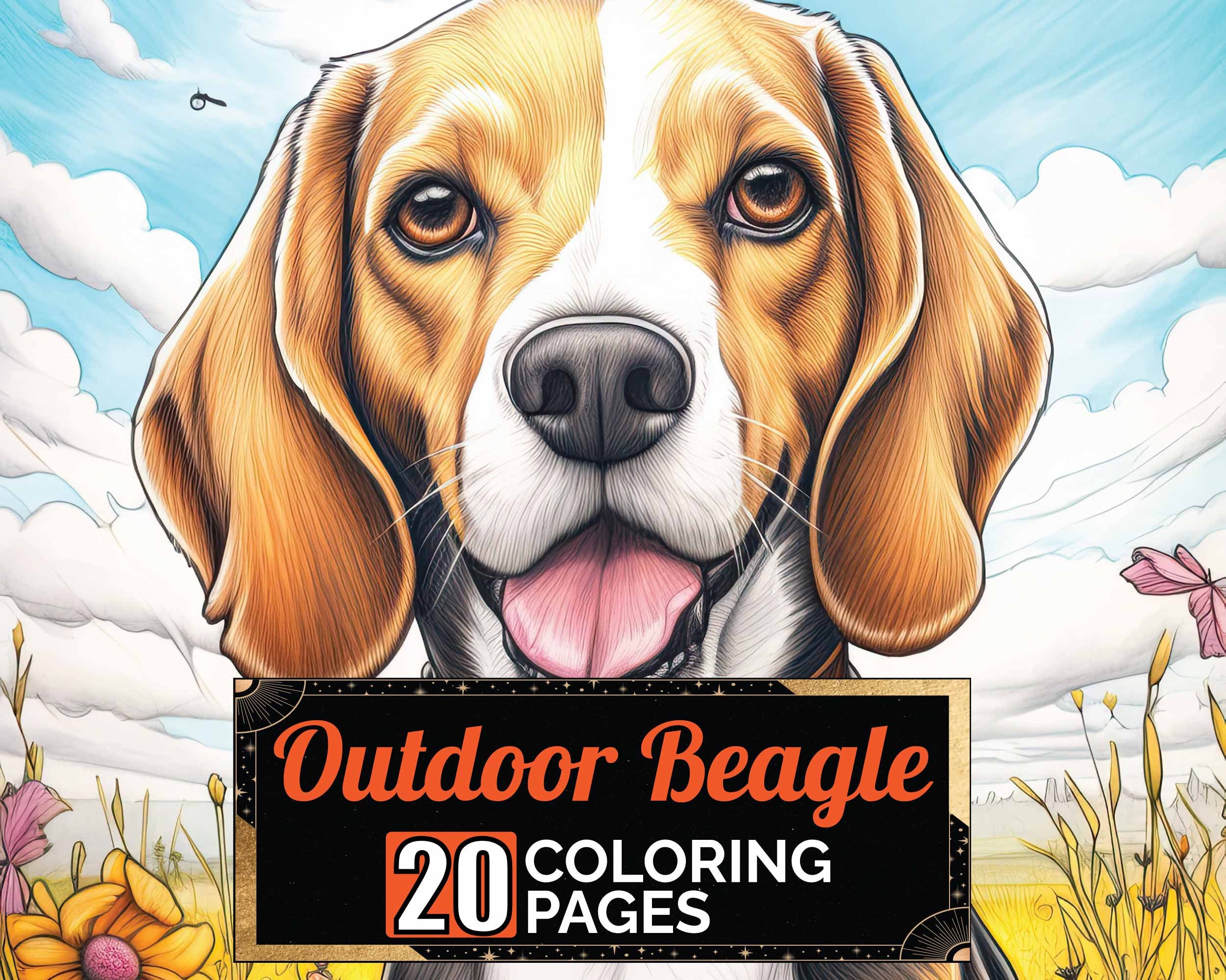 Coloring page beagle -  France
