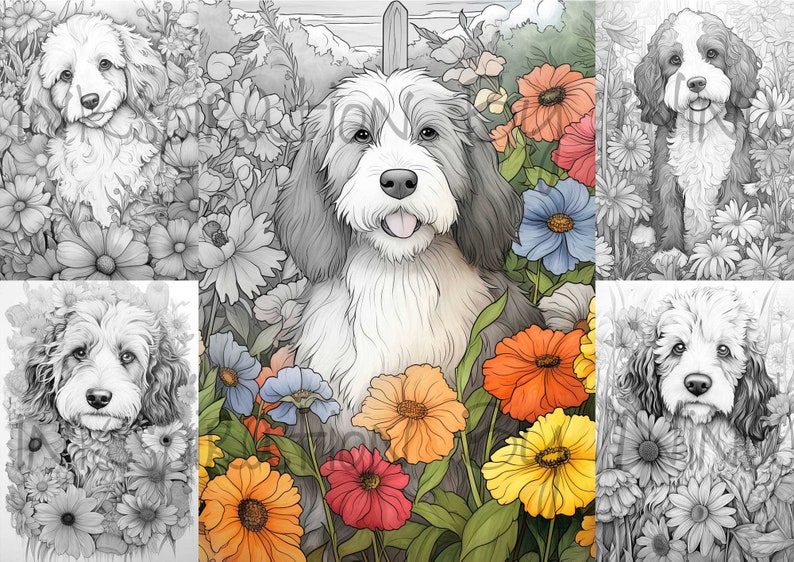 Bernedoodle in Flowers Coloring - Il 794xN.5194611812 Rup9 
