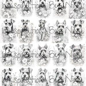 Miniature Schnauzer Flowers Coloring Book, 20 Detail Greyscale Adult ...