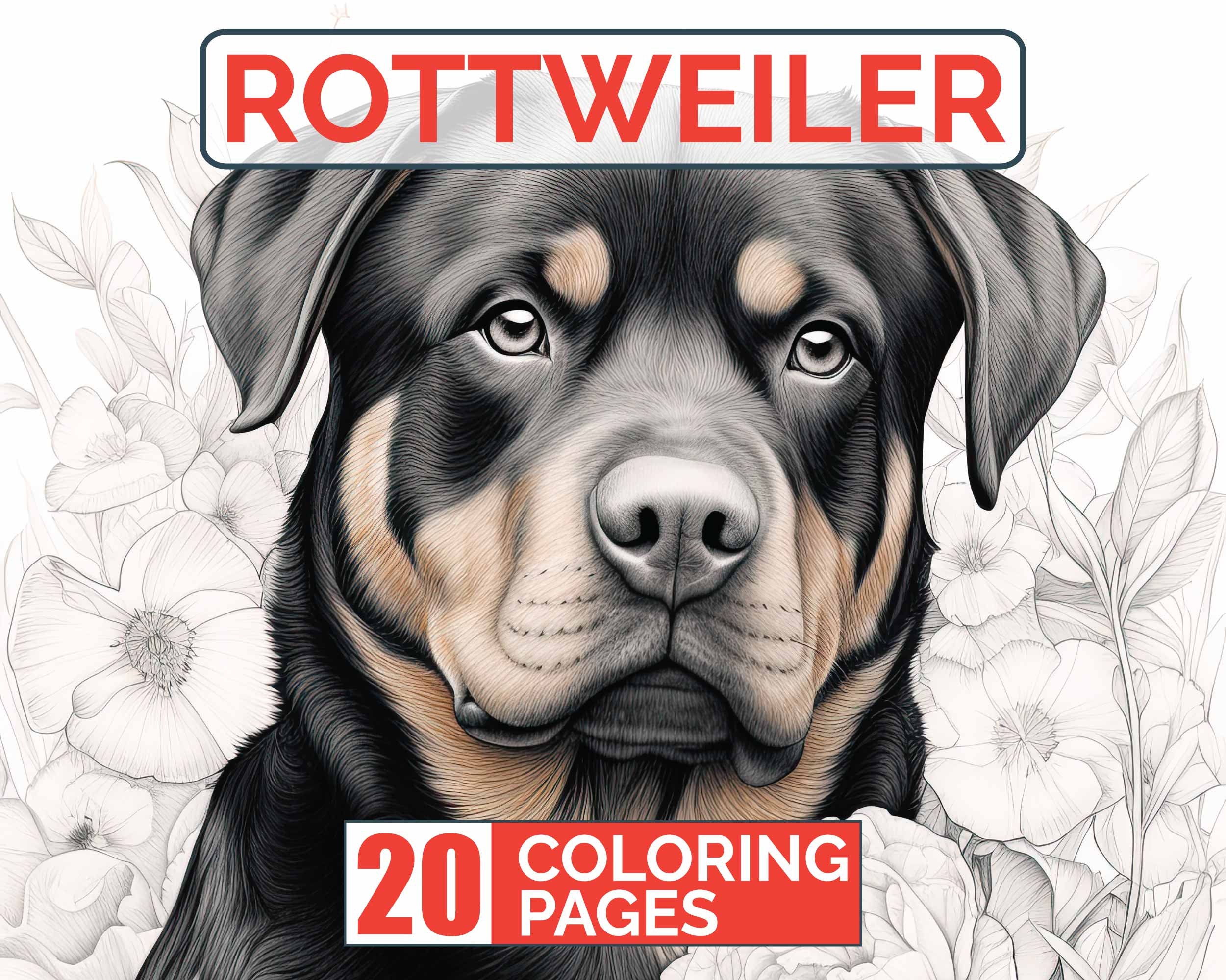 Rottweiler Coloring Pages