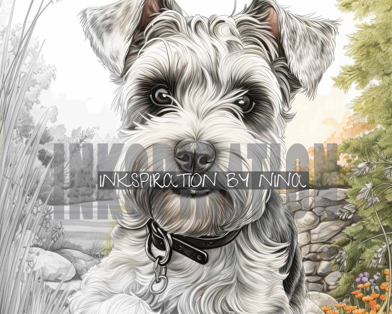 Miniature Schnauzer Dog in Flowers Coloring Pages, 20 Premium Coloring ...