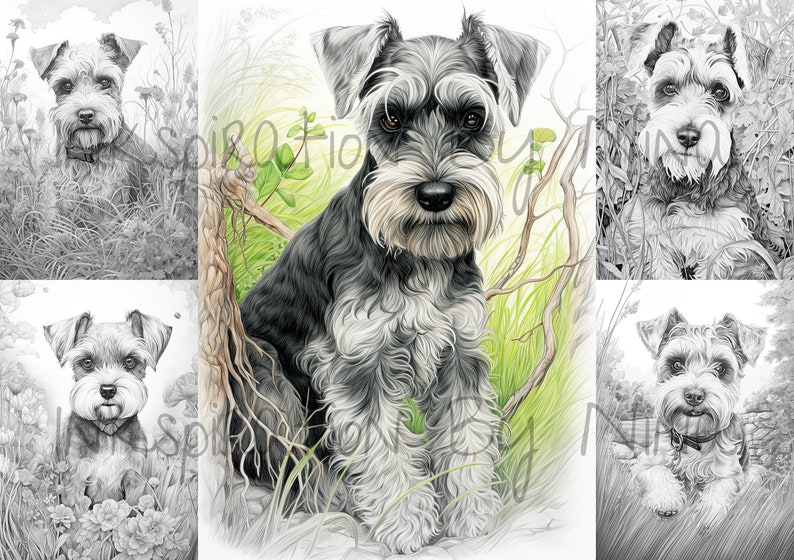 Miniature Schnauzer Dog in Flowers Coloring Pages, 20 Premium Coloring ...