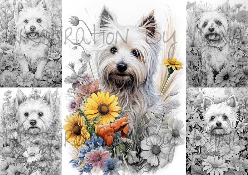 West Highland White Terrier Westie Dog Coloring Pages, 20 Premium