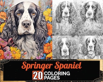 English Springer Spaniel Coloring Pages, 20 Premium Dog in Flowers Coloring Sheets, Coloring Book A4 Size, Printable Digital PDF Download