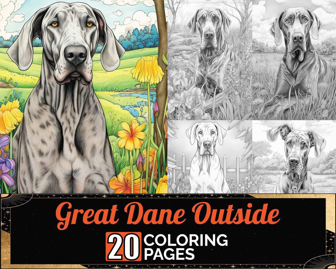 Great Dane Enjoying Outside Coloring Pages, 20 Premium Coloring Sheets