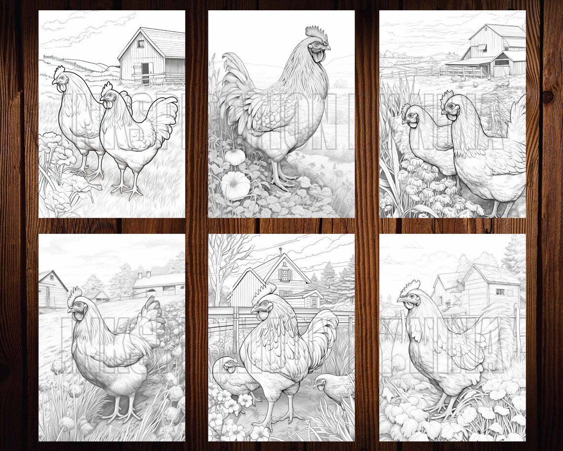 Farmland Chicken Coloring Pages, 20 Premium Coloring Sheets, Adult