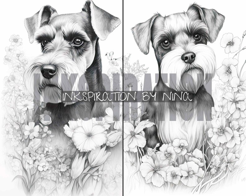 Miniature Schnauzer Flowers Coloring Book, 20 Detail Greyscale Adult ...