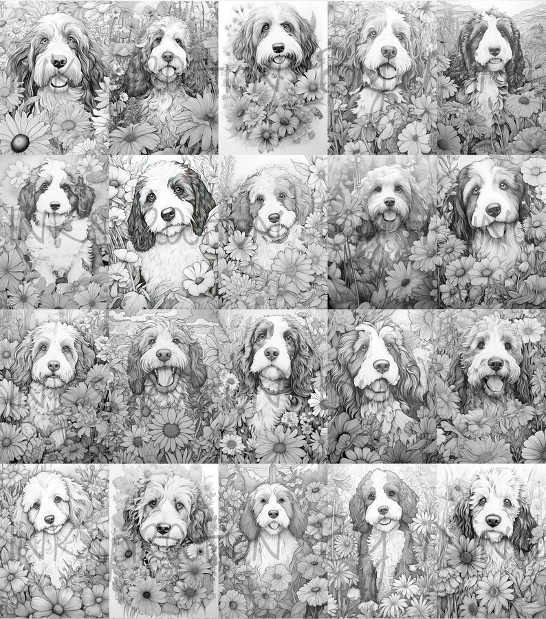 Bernedoodle in Flowers Coloring Pages, 20 Premium Coloring Sheets