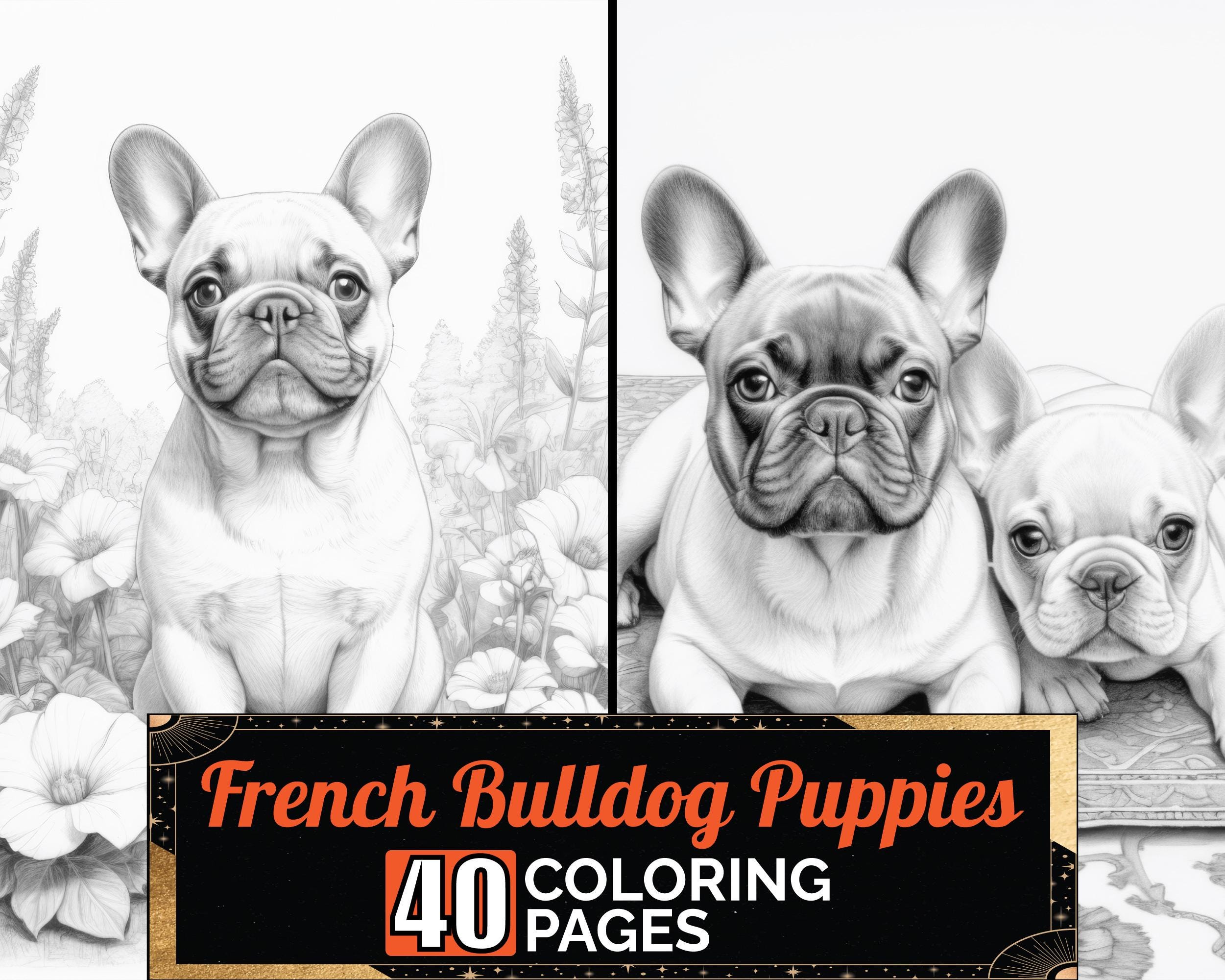 Kleurboek Franse bulldog schattige puppy's | 40 gedetailleerde grijstinten  hondenkleurplaten voor volwassenen en kinderen | A4-vel afdrukbare, image size:2501x2000