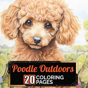 Poodle Dog Strolling Outdoors Coloring Pages, 20 Premium Coloring Sheets, Coloring Book A4 Size, Printable Digital PDF Download, Dog Theme