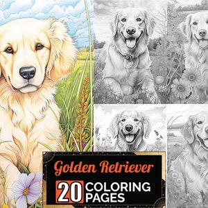 Golden Retriever Dog Outside Coloring Pages, 20 Premium Adult & Kids Coloring Sheets, Coloring Book A4 Size, Printable Digital PDF Download