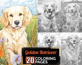 Golden Retriever Dog Outside Coloring Pages, 20 Premium Adult & Kids Coloring Sheets, Coloring Book A4 Size, Printable Digital PDF Download