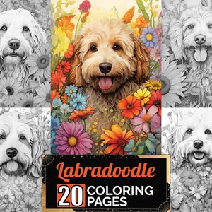 Labradoodle Dog In Flowers Coloring Pages, 20 Premium Adult & Kids Coloring Sheets, Coloring Book A4 Size, Printable Digital PDF Download