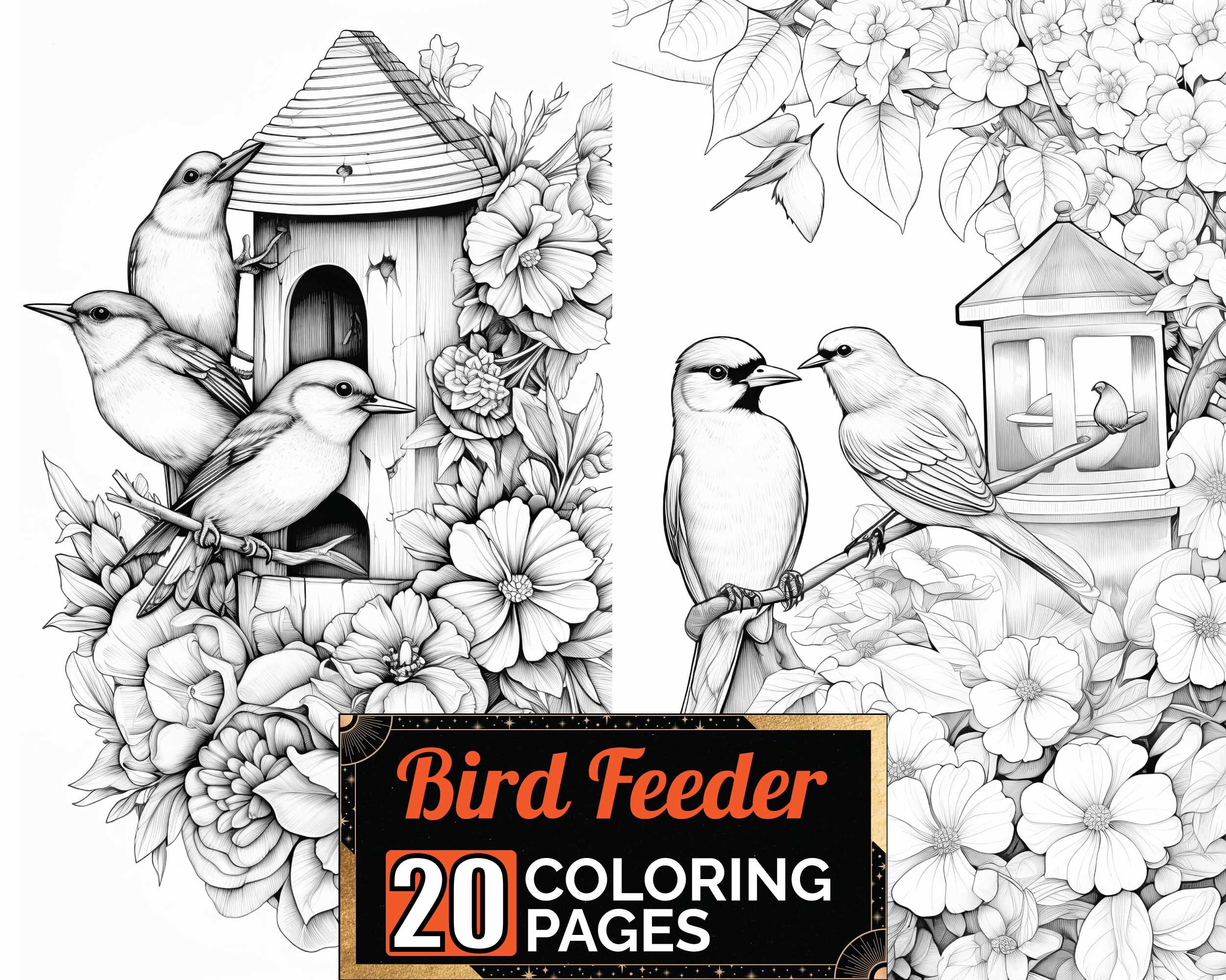 Bird Feeder Flowers Coloring Book, 20 Premium Birds Feeding Outside Coloring Sheets, Coloring ...