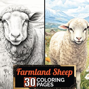 Farmland Sheep Coloring Book, 30 Detail Greyscale Adult & Kids Farm Animal Colouring Pages, A4 Size Sheet, Printable Digital PDF Download