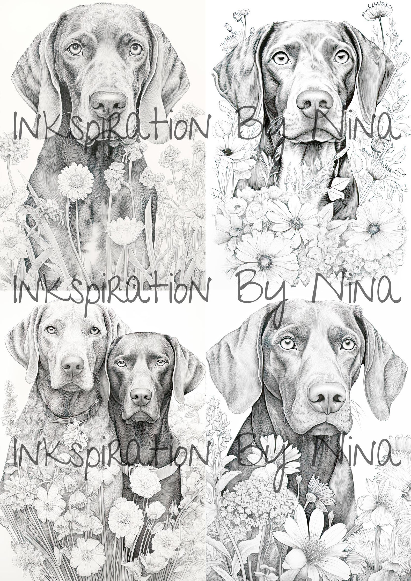 German Shorthaired Pointer in Flowers Coloring Pages, 20 Premium