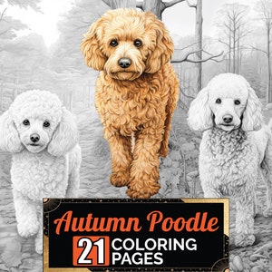 Poodle In Autumn Forest Coloring Book, 21 Detail Greyscale Adult & Kids Dog Colouring Page, A4 Size Sheet Printable Digital PDF Download
