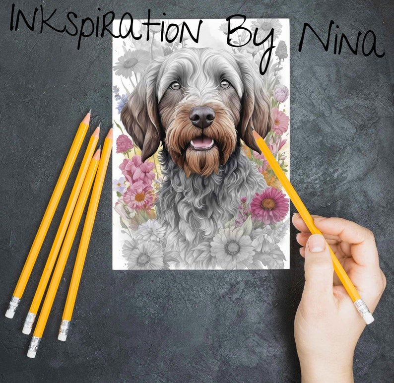 Wirehaired Pointing Griffon Coloring Book, 48 Detail Greyscale Adult