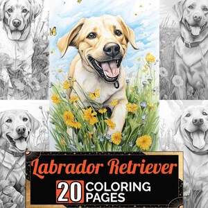 Labrador Retriever Outdoors Coloring Book, 20 Premium Dog Coloring Sheets, Coloring Pages A4 Size, Printable Digital PDF Download, Dog Theme