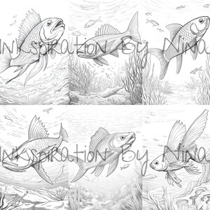 Fish in the Ocean Coloring Book, 24 Detail Greyscale Adult &amp; Kids Water ...