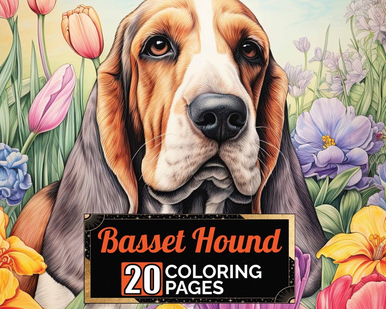 Basset Hound in Flowers Coloring Pages 20 Premium Coloring - Etsy