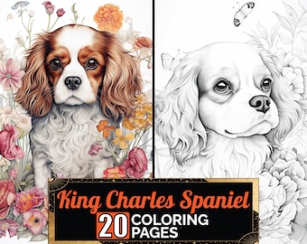 Cavalier King Charles Spaniel Coloring Pages, 20 Premium Coloring Sheets, Adult & Kids Coloring Book A4 Size Instant Digital PDF Download