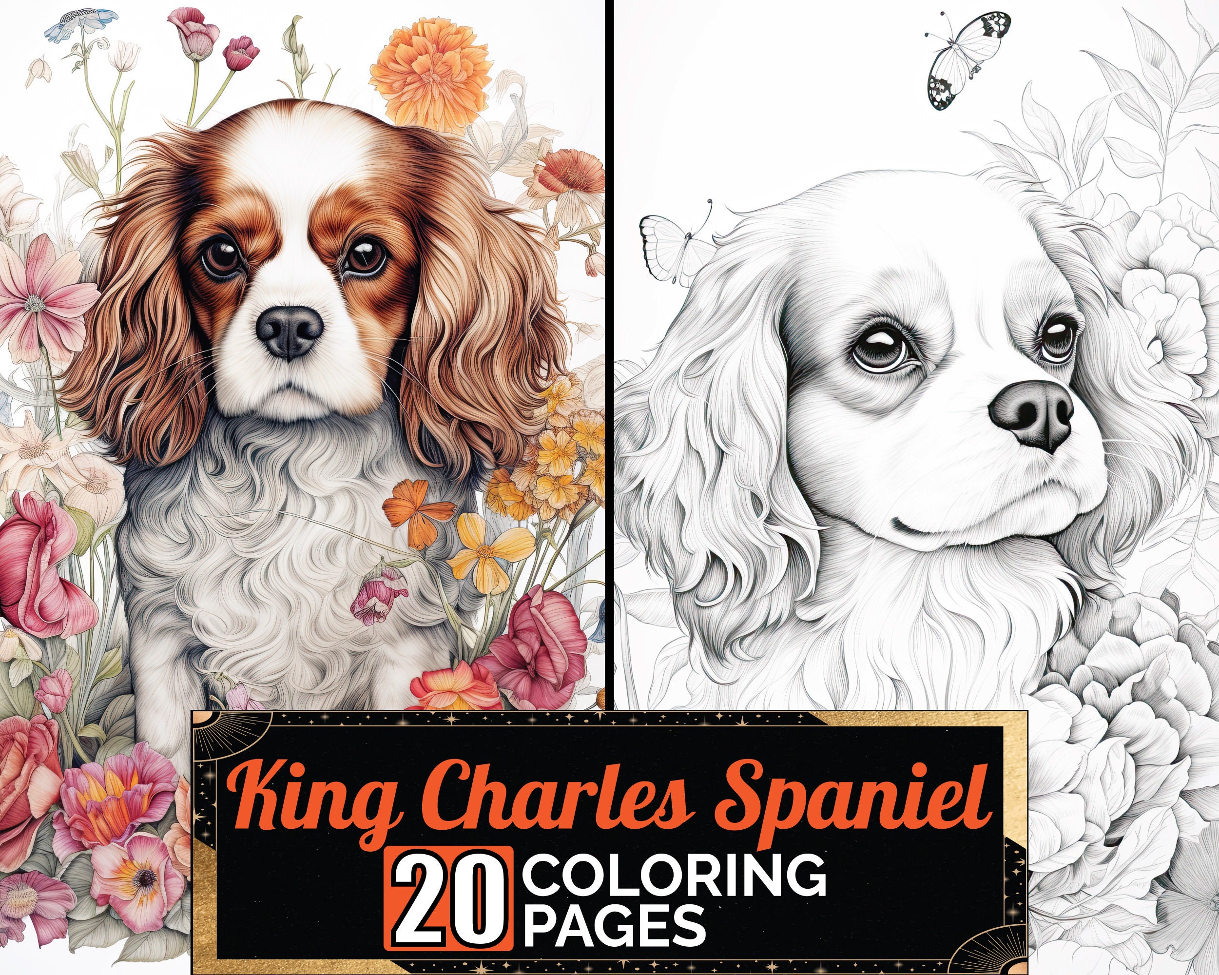 King Charles Cavalier Coloring Pages