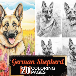 German Shepherd Dog Enjoying Outside Coloring Pages, 20 Premium Adult Coloring Sheets, Coloring Book A4 Size, Printable Digital PDF Download