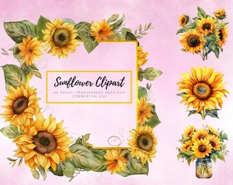 Clipart de girassol em aquarela - girassóis, buquês e guirlandas, arquivos png transparentes para uso comercial