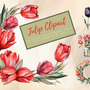 Watercolor Tulip Clipart - different colored tulips, bouquets, wreaths, frames and tulip buckets, transparent png files for commercial usage