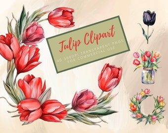 Clipart de tulipa aquarela - tulipas, buquês, guirlandas, molduras e baldes de tulipas de cores diferentes, arquivos png transparentes para uso comercial