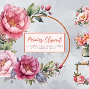 Watercolor Peony, peonies Clipart - different colored Peonies, bouquets, wreaths and more, transparent png files for commercial usage