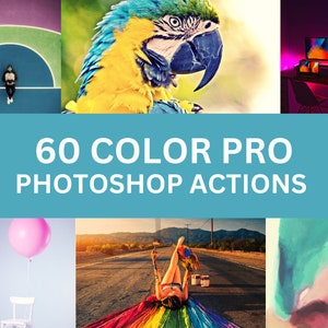60 Color Pro Photoshop Actions For Graphic Designers | Adobe Photoshop Premium Package | INSTANT DOWNLOAD