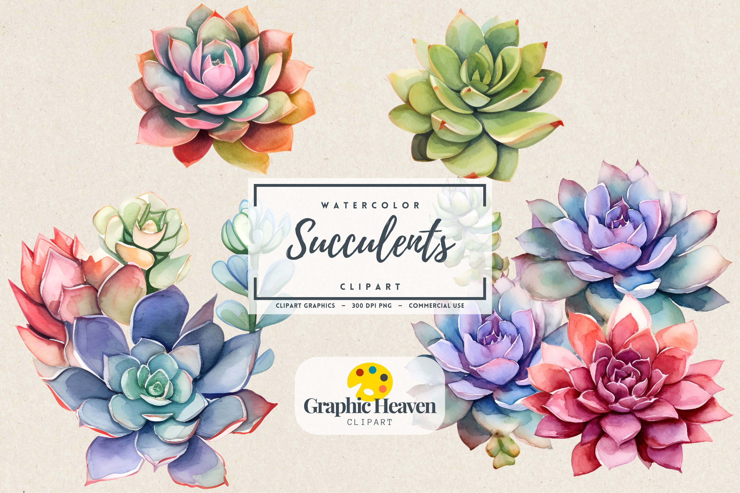 Watercolor Succulents Clipart Digital Png Colorful Succulents Graphics ...