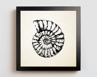 Regalo con stampa fossile di ammonite