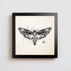 Deaths Head Moth Print Gift