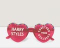 Custom made - Harry Styles Concert Glasses